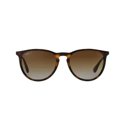 Ray-Ban Erika RB4171 54mm Pilot Polarized Sunglasses 11 Ray-Ban Erika RB4171 54mm Pilot Polarized Sunglasses -SHED RAIN Sales Store 2866735 ALT5