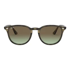 Women's Ray-Ban RB4259 51mm Fashion Sunglasses 6 Women's Ray-Ban RB4259 51mm Fashion Sunglasses -SHED RAIN Sales Store 4458684 ALT3