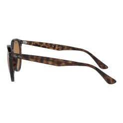 Women's Ray-Ban RB4305 53mm Round Sunglasses 5 Women's Ray-Ban RB4305 53mm Round Sunglasses -SHED RAIN Sales Store 4458699 ALT2